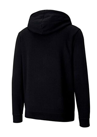 Puma Erkek Sweatshirts Teamgoal 23 Causals Hooded 65670803